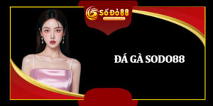 TRÒ CHƠI - sodo88 - betzuno