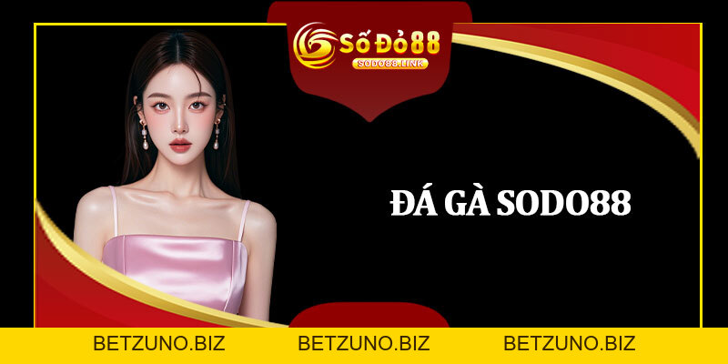 Đá Gà Sodo88 - Quản Lý Vốn Khi Chơi Để Tối Ưu Lợi Nhuận - betzuno